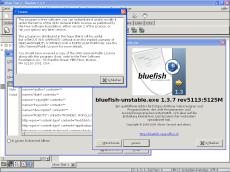 Bluefish running on Windows XP.